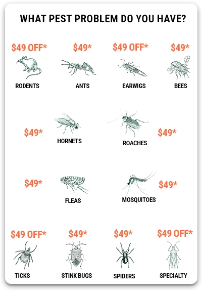 pest control